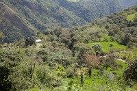 /album/hacienda-esperanza/finca-6-jpg/