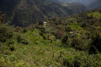 /album/hacienda-esperanza/finca-4-jpg/