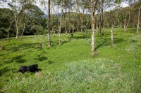 /album/hacienda-esperanza/finca-8-jpg/