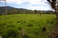 /album/hacienda-esperanza/finca-10-jpg/