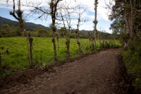 /album/hacienda-esperanza/finca-11-jpg/