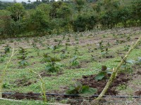 /album/hacienda-esperanza/p1140629-jpg/