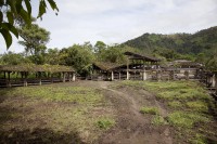 /album/hacienda-esperanza/mg-3088-jpg/