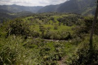 /album/hacienda-esperanza/img-5214-jpg/