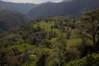 /album/hacienda-esperanza/img-5220-jpg/