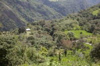 /album/hacienda-esperanza/img-5221-jpg/