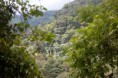 /album/fotogaleria/bosque-jpg/