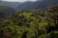 /album/fotogaleria/finca-5-jpg1/