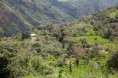/album/fotogaleria/finca-6-jpg1/