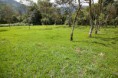 /album/fotogaleria/finca-7-jpg1/
