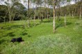 /album/fotogaleria/finca-8-jpg1/
