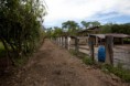 /album/fotogaleria/finca-14-jpg/
