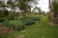 /album/fotogaleria/finca-15-jpg/