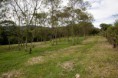 /album/fotogaleria/finca-17-jpg/