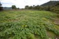 /album/fotogaleria/finca-18-jpg1/