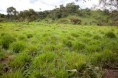 /album/fotogaleria/finca-20-jpg/