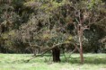 /album/fotogaleria/potreros2-jpg/